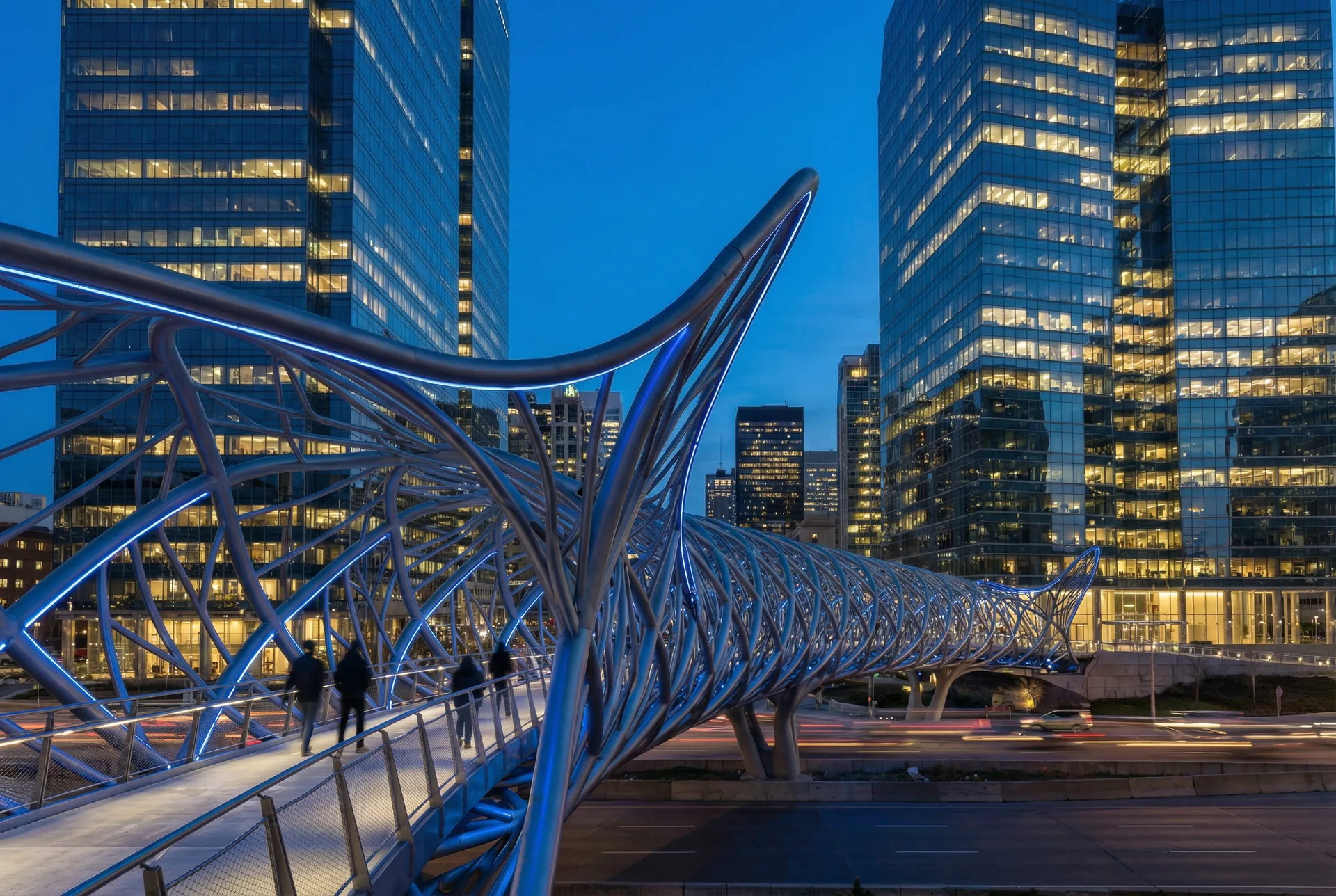 Topology-optimized form